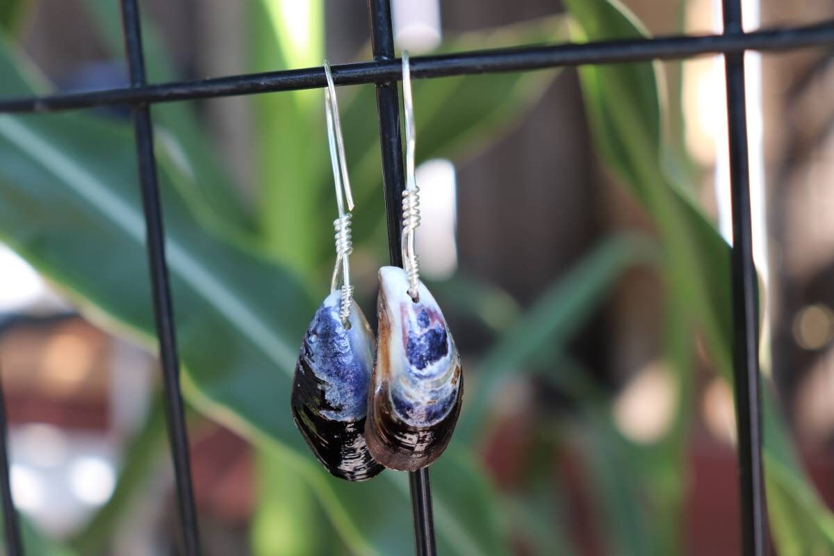 Grandidierite | Sterling Silver | Mussel Earrings