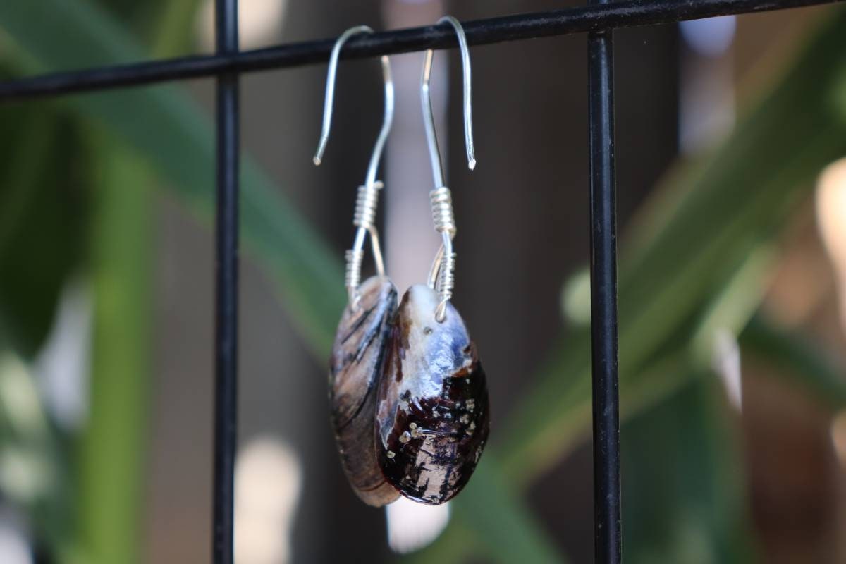 Grandidierite | Sterling Silver | Mussel Earrings